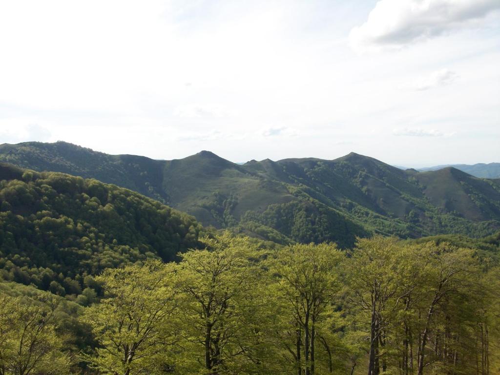 Hostal Rural Arrobi Borda Eugi Bagian luar foto