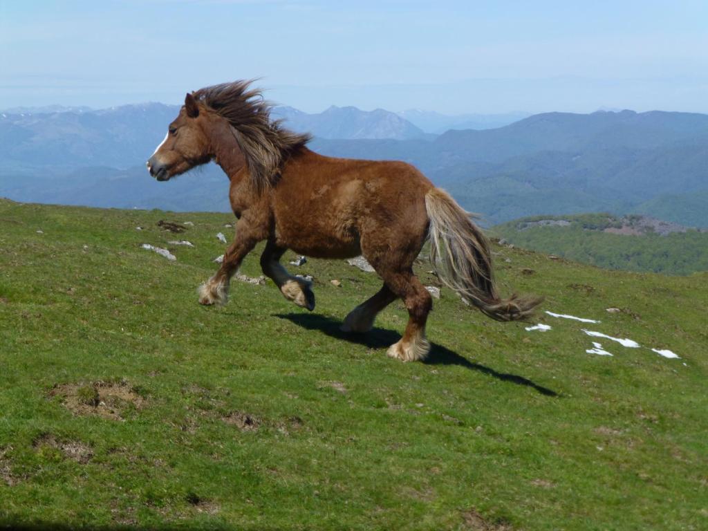 Hostal Rural Arrobi Borda Eugi Bagian luar foto